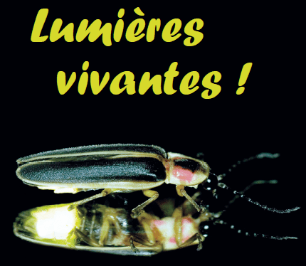 Lumières vivantes