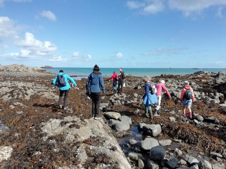 Biodiversité du littoral et énergies marines